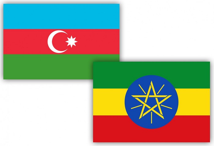 `Ethiopia is interested in cooperation with Azerbaijan`, Ethiopian Minister 